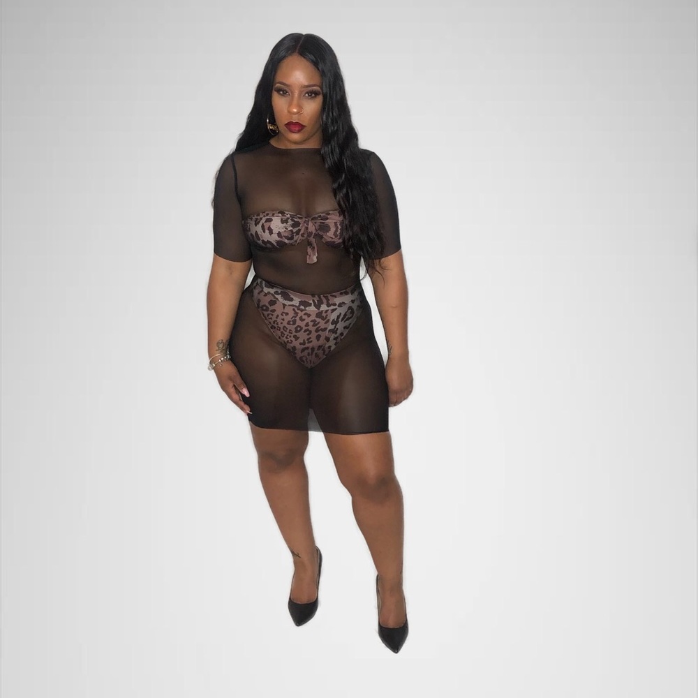 Collins Ave- see through mesh dress